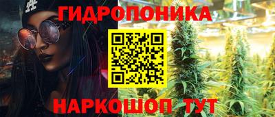 дурь Кимры