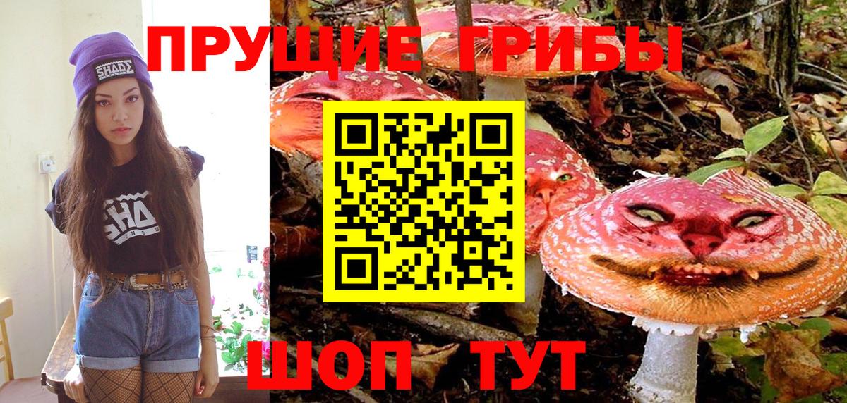 Ялта  Псилоцибиновые грибы Psilocybe  Вход с VPN 